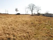 Prodej pozemku pro bydlení, Bor, 1689 m2