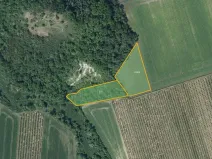 Prodej sadu/vinice, Želkovice, 133318 m2