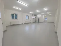 Pronájem výrobních prostor, Bílovice nad Svitavou, Obřanská, 144 m2