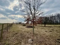 Prodej louky, Cetkovice, 3195 m2