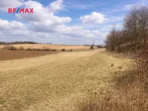 Prodej pole, Číčovice, 6121 m2