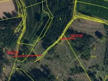 Prodej lesa, Červená Řečice, 158 m2