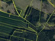 Prodej lesa, Červená Řečice, 52 m2