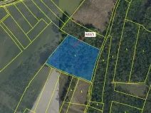 Dražba lesa, Bernardov, 12017 m2