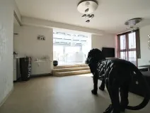 Pronájem bytu 3+kk, Plzeň, Goldscheiderova, 250 m2