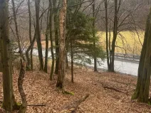 Prodej lesa, Huslenky, 29988 m2