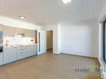 Pronájem bytu 1+kk, Praha - Letňany, Vyletalova, 32 m2