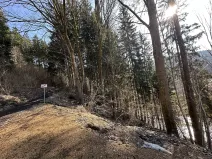 Prodej lesa, Plavy, 32050 m2