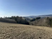 Prodej lesa, Plavy, 32050 m2