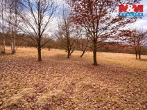 Prodej rybníku, Křečovice - Vlkonice, 68525 m2