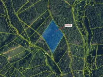 Dražba lesa, Jílové u Držkova, 10166 m2