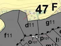 Dražba lesa, Sýkořice, 8962 m2