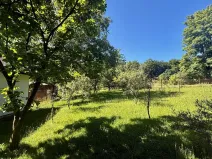 Prodej zahrady, Orlová, Dr. M. Tyrše, 1537 m2