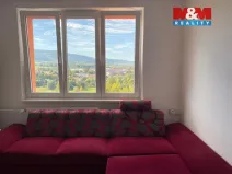 Pronájem bytu 1+1, Sokolov, Švabinského, 39 m2