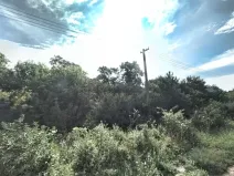 Pronájem zahrady, Hustopeče, 7122 m2