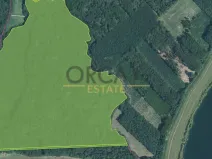 Prodej lesa, Kostelany nad Moravou, 58008 m2