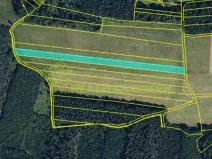 Prodej pole, Konice, 21953 m2