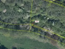 Dražba lesa, Zubrnice, 5 m2