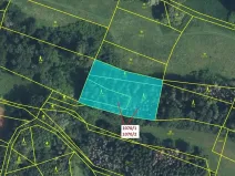 Dražba lesa, Kněžnice, 2271 m2