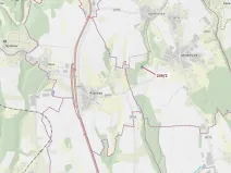 Dražba lesa, Jenišovice, 2305 m2