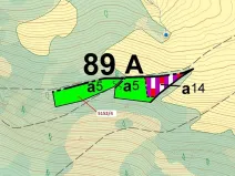 Dražba lesa, Mikulášovice, 3638 m2