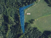 Dražba lesa, Kladky, 3057 m2