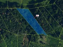 Dražba lesa, Mladoňovice, 961 m2