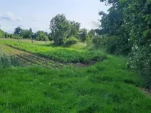 Prodej zahrady, Loučany, 1622 m2
