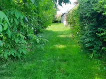 Prodej zahrady, Loučany, 1622 m2