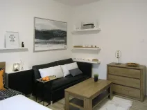 Pronájem bytu 2+kk, Ostrava, Myslbekova, 50 m2