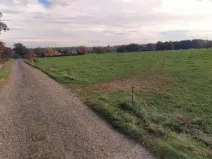 Prodej pole, Nasavrky, 28806 m2