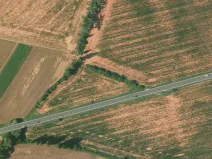 Prodej pole, Hořesedly, 4758 m2