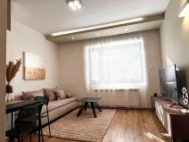 Prodej bytu 2+kk, Ostravice, 37 m2