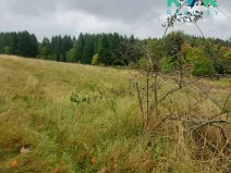 Prodej pozemku pro bydlení, Chodov, 1259 m2