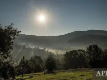 Prodej pozemku pro bydlení, Žítková, 6433 m2