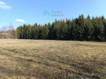 Prodej louky, Křižánky, 1000 m2