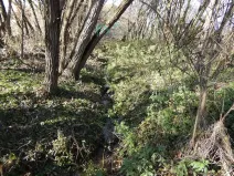 Prodej louky, Kamenice, 1863 m2