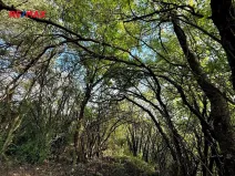 Prodej zahrady, Bílovice nad Svitavou, 589 m2