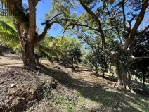 Prodej pozemku, Coxen Hole, Roatán, Honduras, 1966 m2