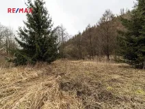 Prodej pozemku pro bydlení, Červená Voda, 949 m2