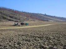 Prodej sadu/vinice, Velké Němčice, 3259 m2