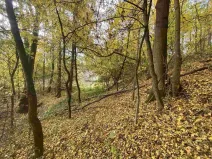 Prodej pozemku, Svijany, 2639 m2