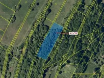 Dražba louky, Jankovice, 2523 m2