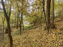 Dražba pozemku, Svijany, 2639 m2