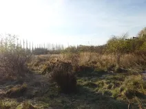 Prodej louky, Kosmonosy, 8401 m2