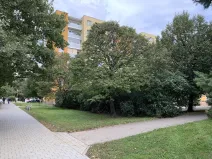 Pronájem obchodního prostoru, Brno - Židenice, Čejkovická, 16 m2