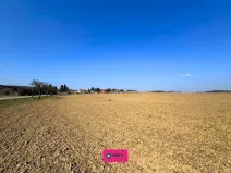 Prodej pozemku pro bydlení, Podomí, 25000 m2