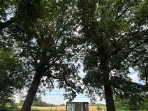 Prodej pozemku pro bydlení, Bavorov, 1396 m2