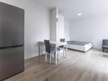 Pronájem bytu 1+kk, Praha - Nusle, Pod Děkankou, 38 m2