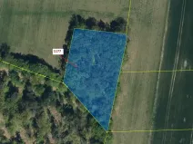 Dražba lesa, Vlčí Habřina, 4658 m2